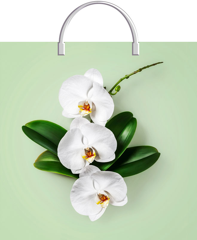 Пакеты-сумки с пластмассовыми ручками 36*37 "Орхидея на салатовом" /5/100 Т